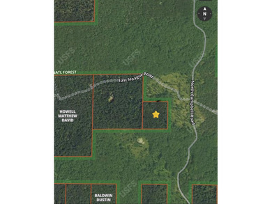 Beach Acreage For Sale in Free Soil, Michigan
