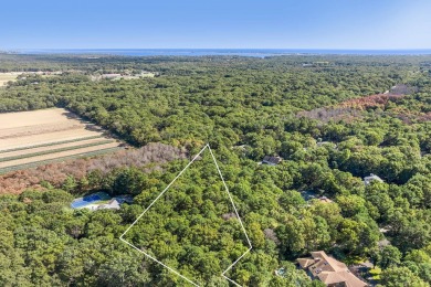 Beach Lot For Sale in East Quogue, New York