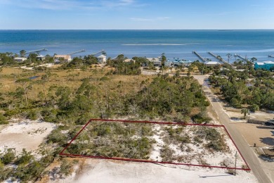 Beach Lot For Sale in Cape San Blas, Florida