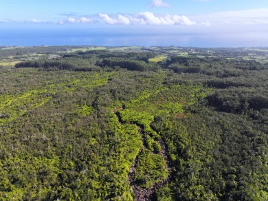 Beach Acreage For Sale in Hakalau, Hawaii