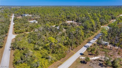 Beach Lot For Sale in Port Charlotte, Florida