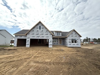 Beach Home For Sale in West Olive, Michigan