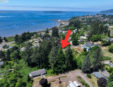 Beach Lot For Sale in Baycity, Oregon