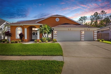 Beach Home For Sale in Tampa, Florida