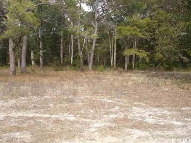 Beach Lot For Sale in North Myrtle Beach, South Carolina