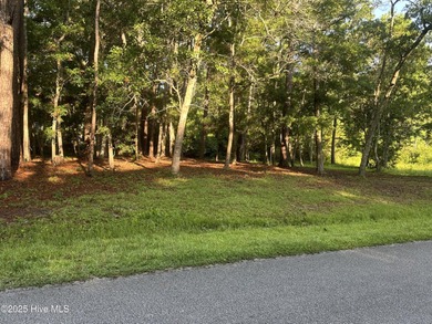 Beach Lot For Sale in Ocean Isle Beach, North Carolina