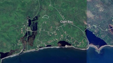 Beach Acreage For Sale in Clam Bay, 