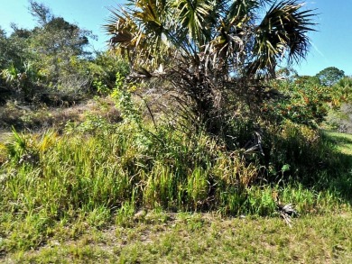 Beach Lot For Sale in North Port, Florida