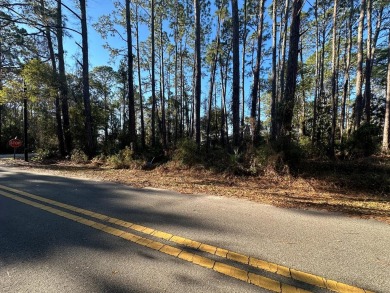 Beach Lot For Sale in Apalachicola, Florida