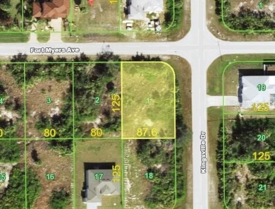 Beach Lot For Sale in Port Charlotte, Florida