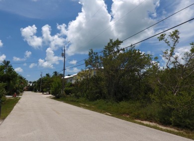 Beach Lot For Sale in Marathon, Florida