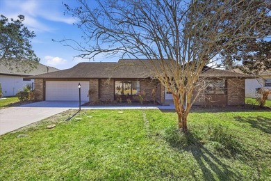 Beach Home For Sale in Palm Coast, Florida