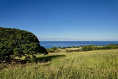 Beach Lot For Sale in Kealakekua, Hawaii