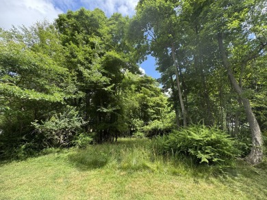 Beach Lot For Sale in Douglas, Michigan