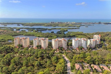 Beach Condo For Sale in Osprey, Florida