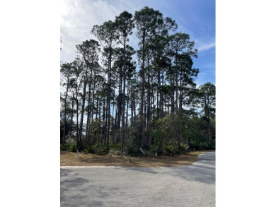 Beach Lot For Sale in Cape San Blas, Florida