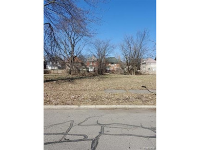 Beach Lot For Sale in Detroit, Michigan
