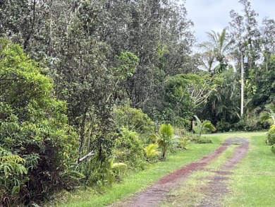 Beach Lot For Sale in Pahoa, Hawaii