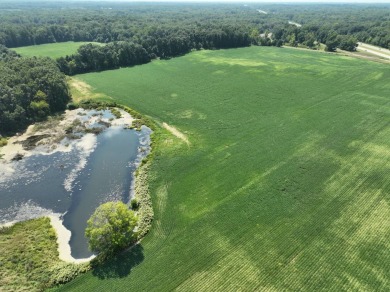 Beach Acreage For Sale in Coloma, Michigan