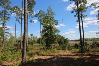 Beach Lot Off Market in Brunswick, Georgia