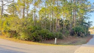 Beach Lot For Sale in Palm Coast, Florida
