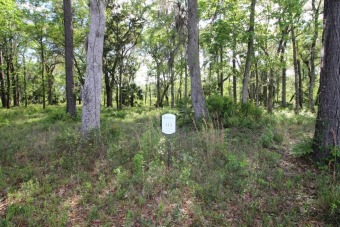 Beach Lot For Sale in Brunswick, Georgia