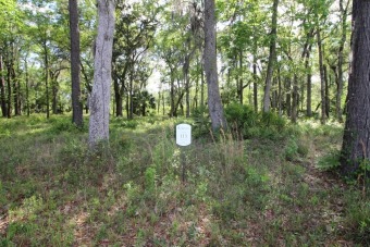 Beach Lot Off Market in Brunswick, Georgia