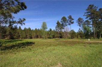 Beach Lot For Sale in Brunswick, Georgia