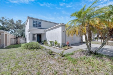 Beach Home For Sale in Tampa, Florida