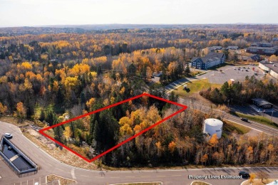 Beach Commercial For Sale in Duluth, Minnesota