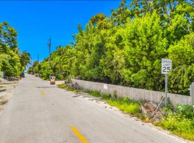 Beach Lot For Sale in Key Largo, Florida