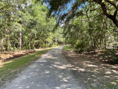 Beach Acreage Sale Pending in Edisto Island, South Carolina