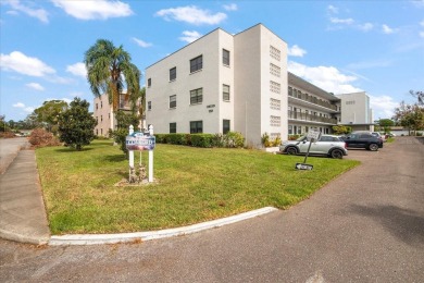 Beach Condo For Sale in St. Petersburg, Florida