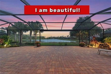Beach Home For Sale in Estero, Florida