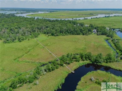 Beach Acreage For Sale in Richmond Hill, Georgia