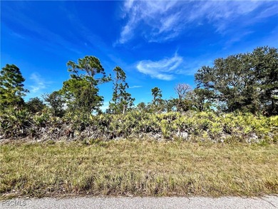 Beach Lot For Sale in Port Charlotte, Florida