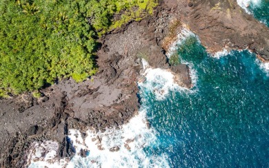 Beach Acreage For Sale in Pahoa, Hawaii