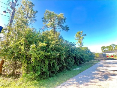 Beach Lot For Sale in Lehigh Acres, Florida