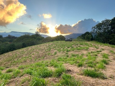 Beach Lot For Sale in Kapaa, Hawaii