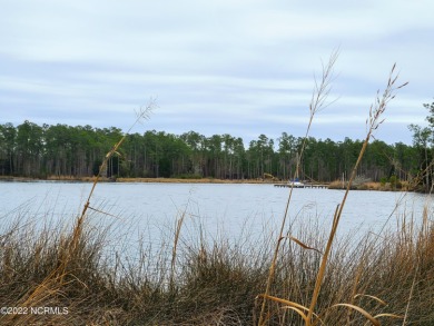 Beach Acreage Off Market in Belhaven, North Carolina