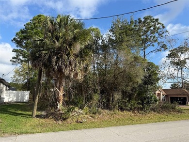 Beach Lot For Sale in Palm Coast, Florida