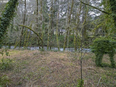 Beach Lot For Sale in Otis, Oregon