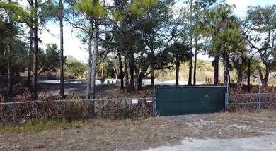Beach Lot For Sale in Lehigh Acres, Florida