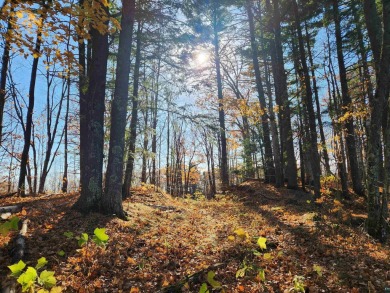 Beach Lot For Sale in Bayfield, Wisconsin