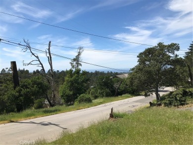 Beach Lot For Sale in Cambria, California