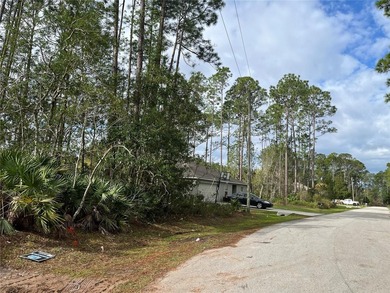 Beach Lot Sale Pending in Palm Coast, Florida