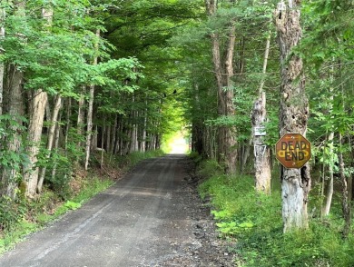 Beach Lot For Sale in Erin, New York