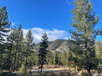 Beach Lot For Sale in Carson City, Nevada