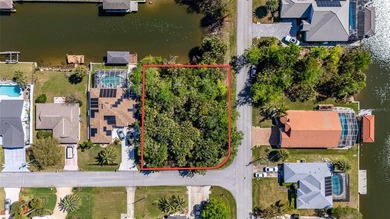 Beach Lot For Sale in Palm Coast, Florida