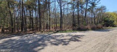 Beach Lot For Sale in Little Egg Harbor, New Jersey